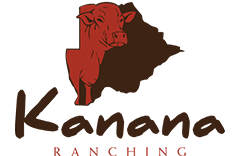 Kanana Logo
